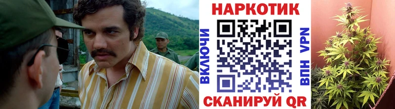 Что такое Магадан A-PVP  Бошки Шишки  Мефедрон  АМФ  Гашиш 
