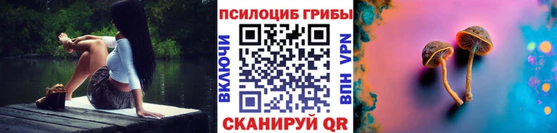 OMG ссылки  Магадан  Галлюциногенные грибы Magic Shrooms 