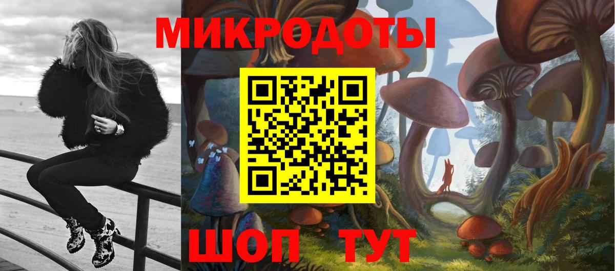 Магадан  Псилоцибиновые грибы GOLDEN TEACHER  Вход с VPN 