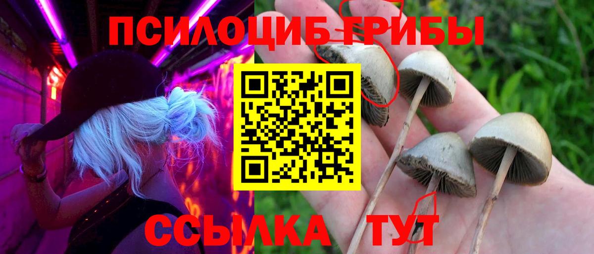 Псилоцибиновые грибы MAGIC MUSHROOMS Магадан
